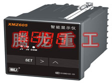 溫度表、數(shù)字顯示儀、濕度表