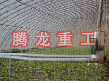 大棚花卉供暖設備、大棚卉采暖設備、大棚花卉取暖設備