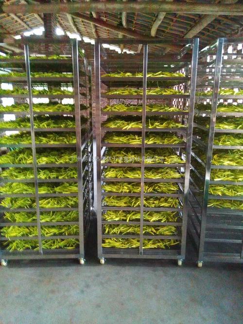 黃花菜烘干機、黃花菜烘干設備、黃花菜干燥機、黃花菜干燥設備、